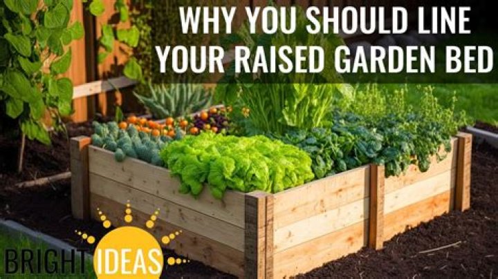 What do you line a raised bed with