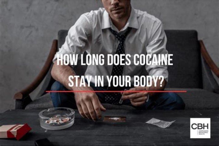 What does a candy bar do to your body