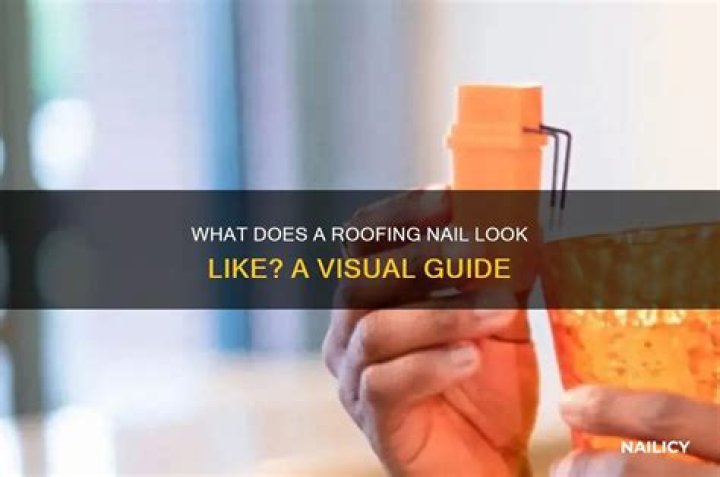 What does a roofing nail look like