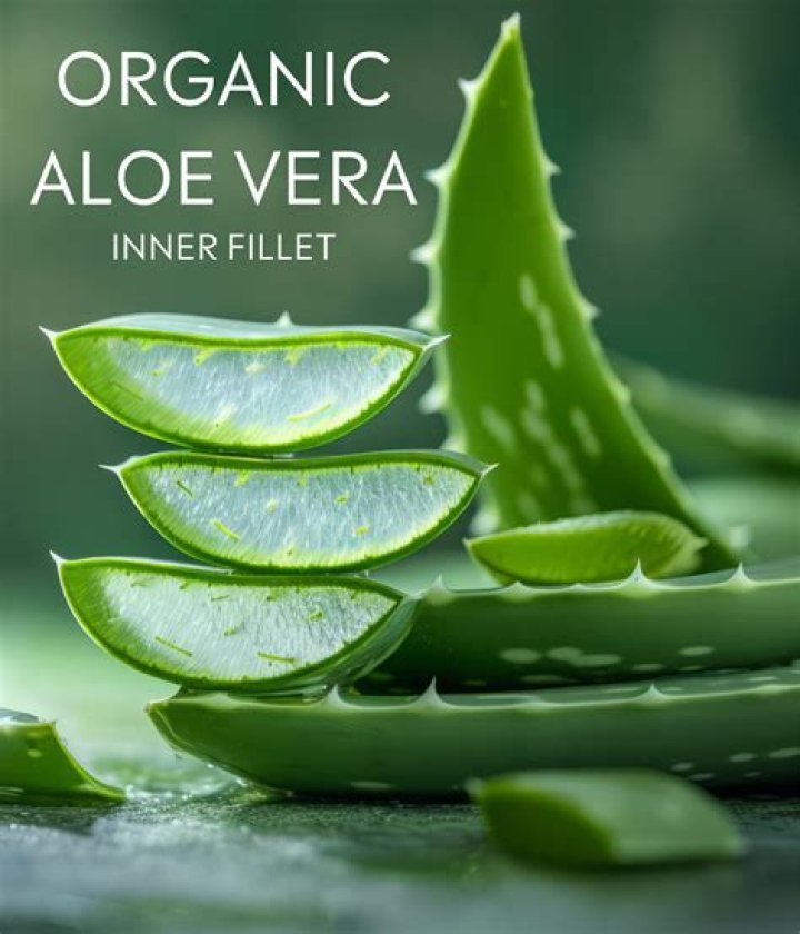 What does aloe vera inner fillet mean