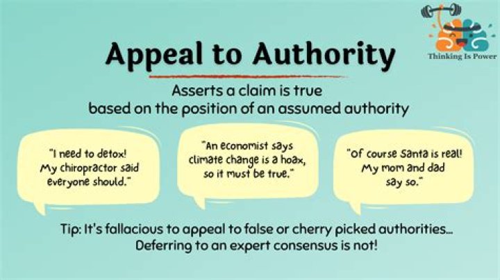 What does argument from authority mean