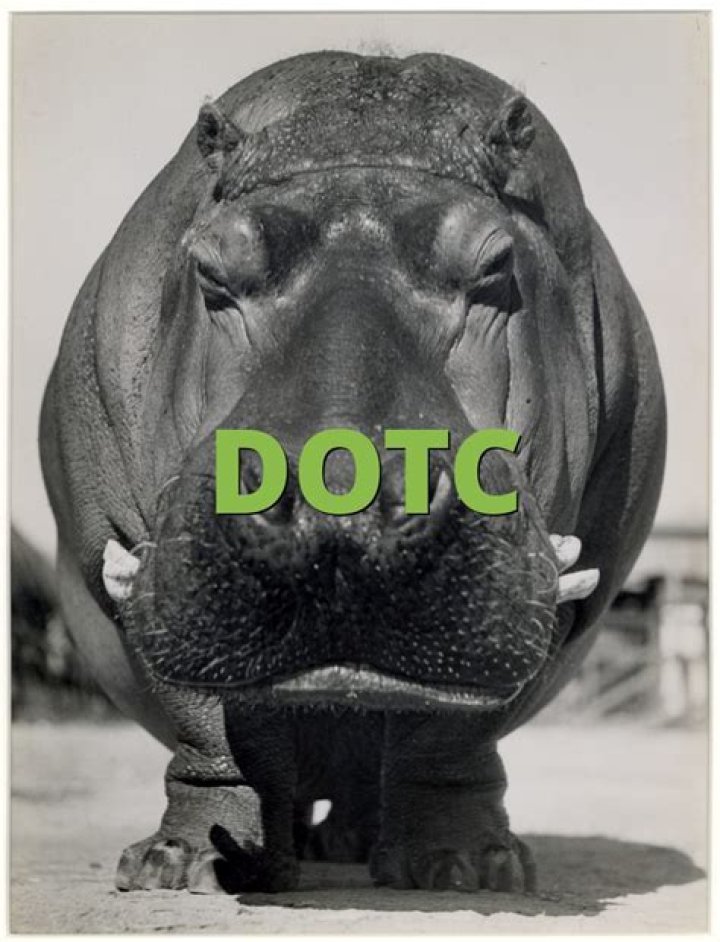What does DOTC do