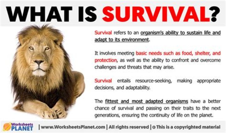 What does insufficient survival mean