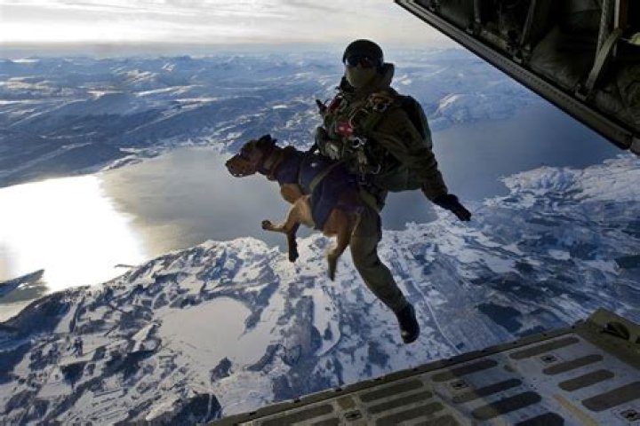 What does it take to become a Navy SEAL