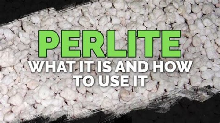 What does perlite do for plants