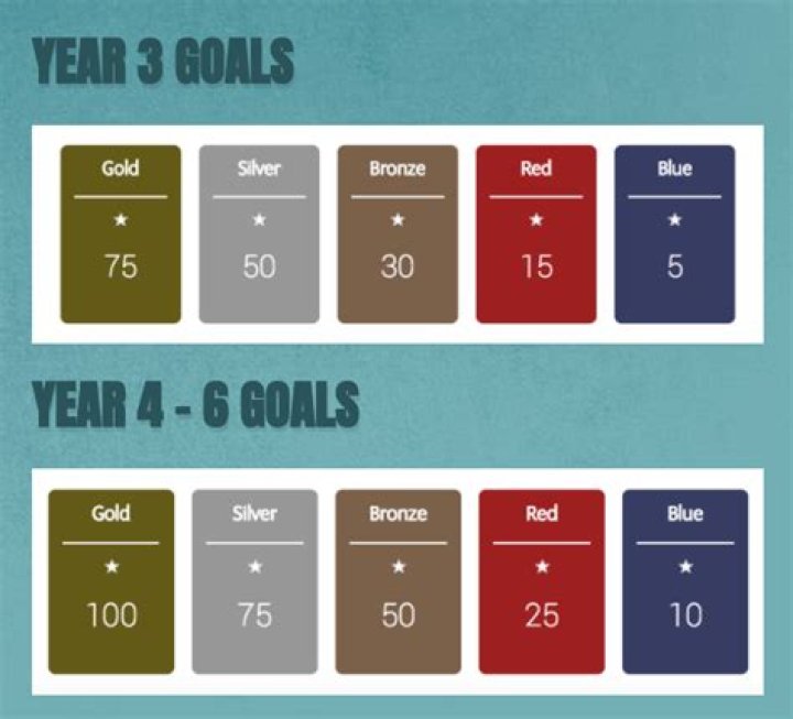 What does scholastic year mean