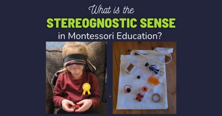 What does Stereognostic mean