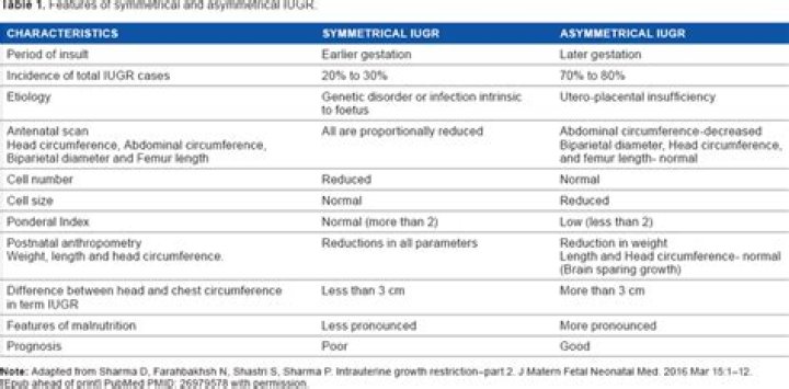 What does symmetrical IUGR mean