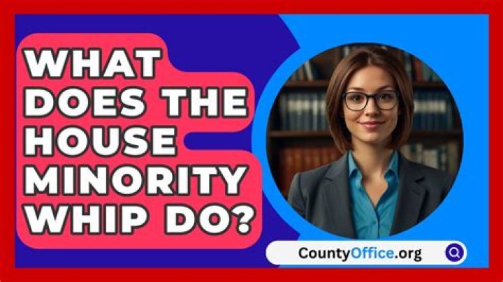 What does the House minority whip do