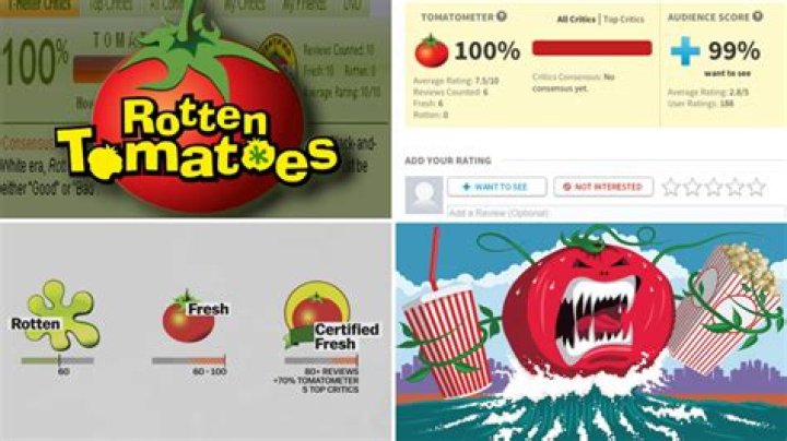 What does the Rotten Tomatoes rating mean