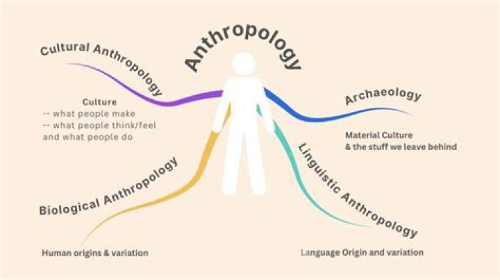 What domains do cultural anthropologists study