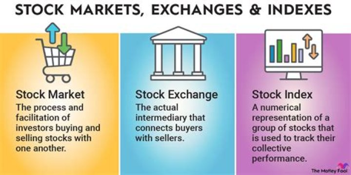 What element of a stock is the most important