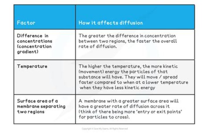 What factors affect the rate of diffusion quizlet