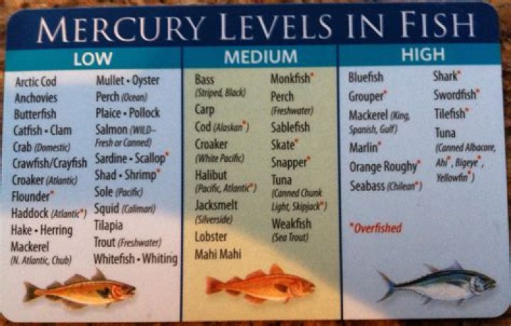 What food products have mercury in them