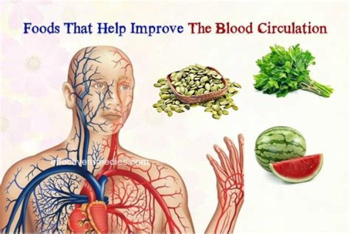 What foods help with poor blood circulation
