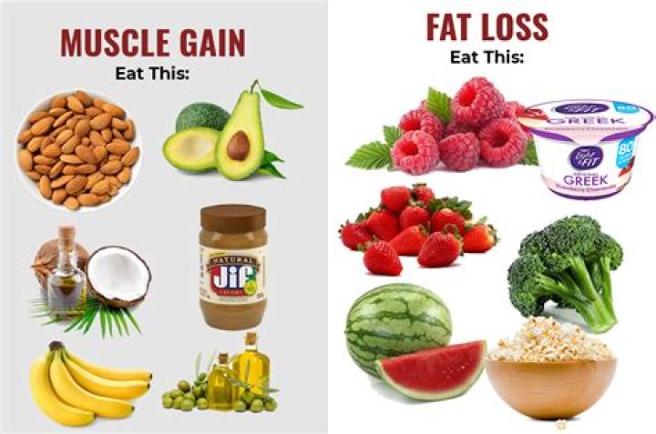 What foods help you lose weight and gain muscle