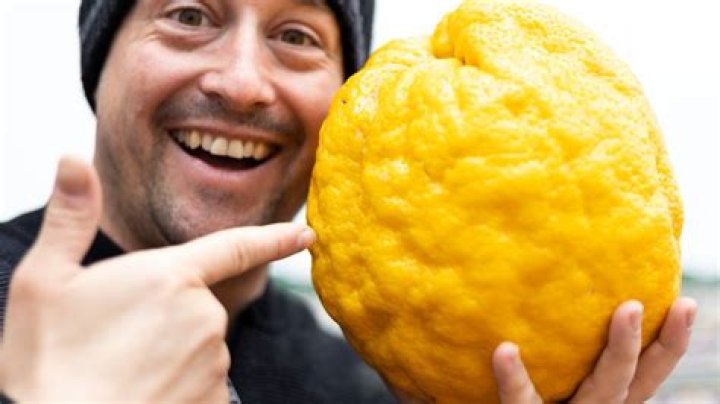 What fruit looks like a giant lemon