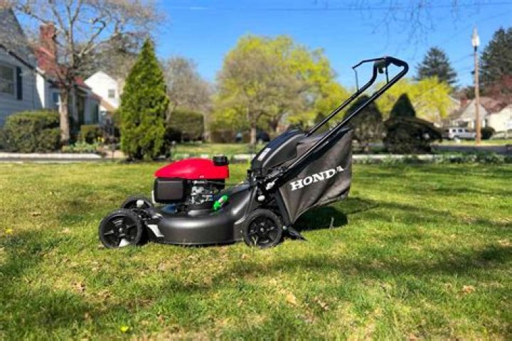 What gas is best for lawn mower