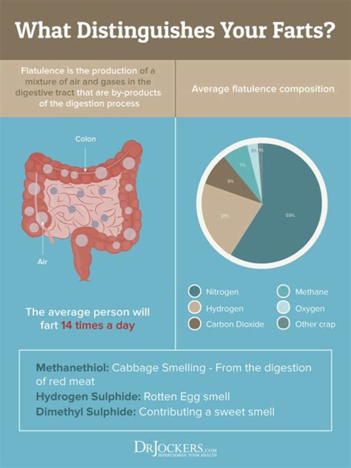 What gases are in a fart
