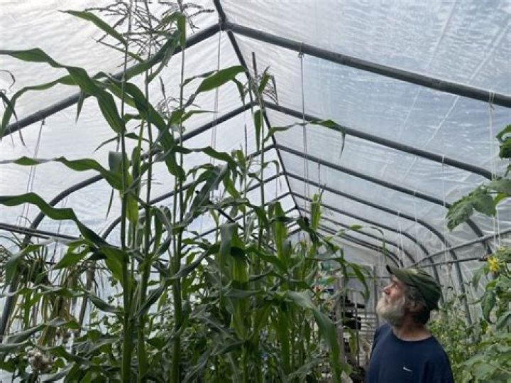 What grows well in Alabama