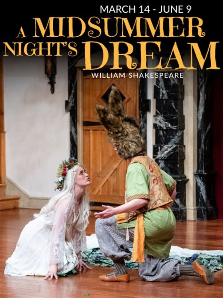 What happens in Act 1 Scene 1 of A Midsummer Nights Dream