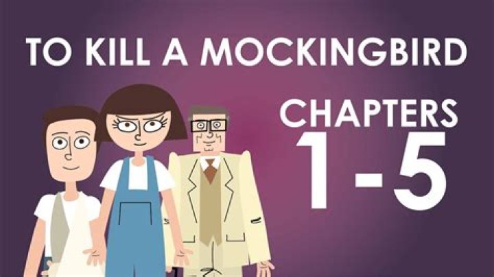 What happens in To Kill a Mockingbird Chapter 11