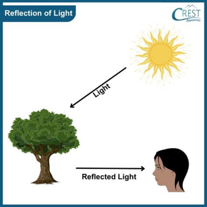 What happens when light is reflected