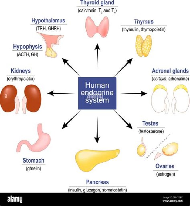 What hormones are used in food production