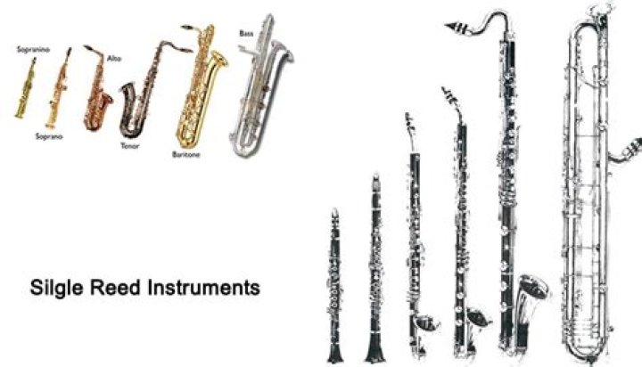 What instruments use a single reed