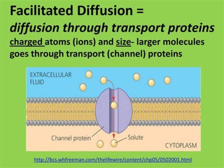 What ions use facilitated diffusion