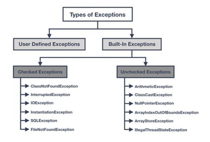 What is a check exception
