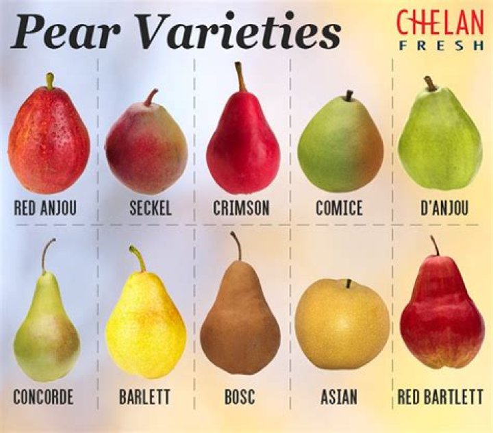 What is a cooking pear