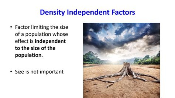 What is a density factor