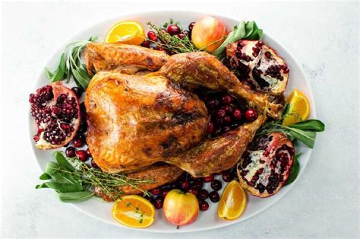 What is a free range turkey