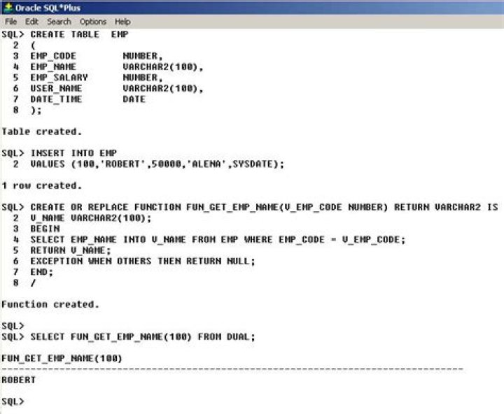 What is a function in Oracle