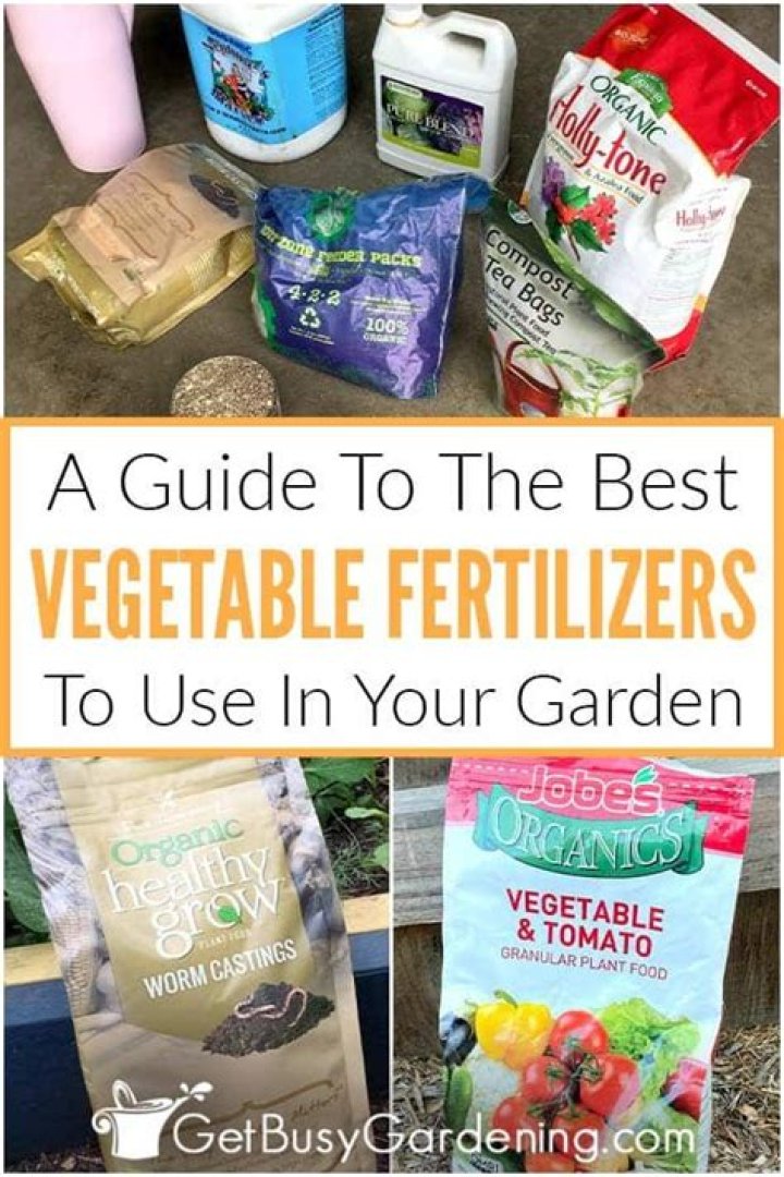 What is a good general garden fertilizer