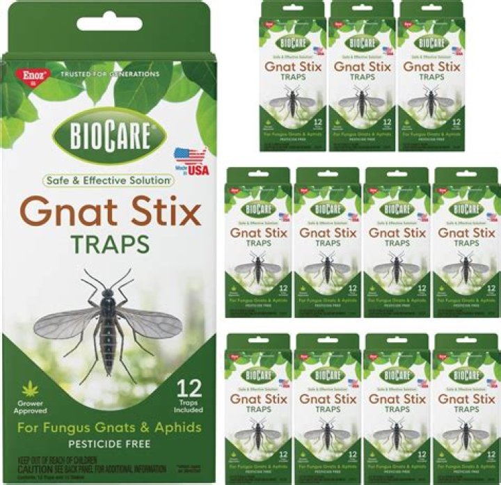 What is a good Gnat Killer