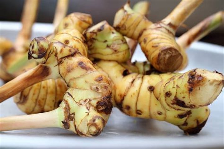 What is a good substitute for galangal