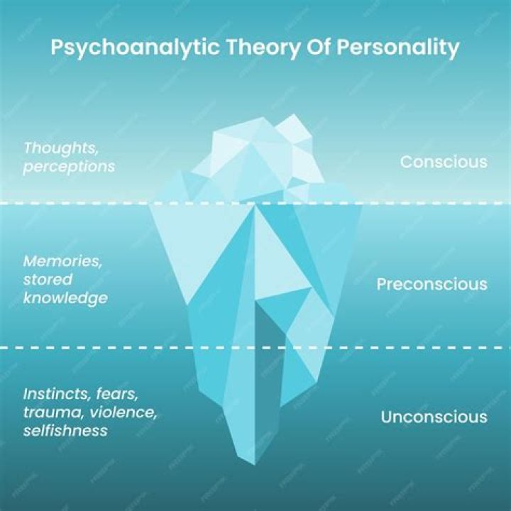 What is a grand theory in psychology