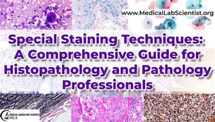 What is a histological examination