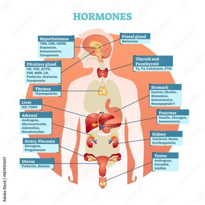 What is a hormone what does target organ mean