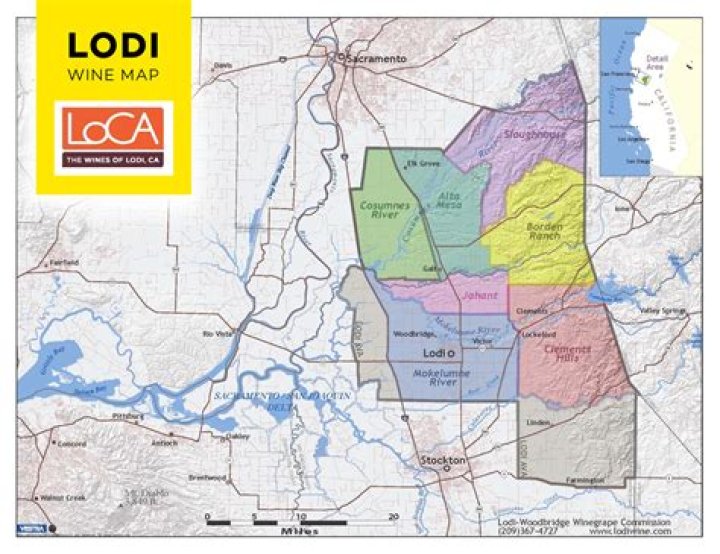 What is a Lodi wine