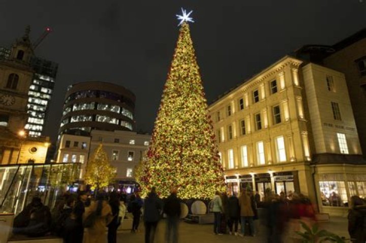 What is a London Tree