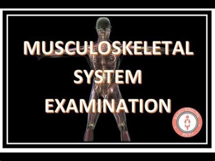 What is a musculoskeletal exam