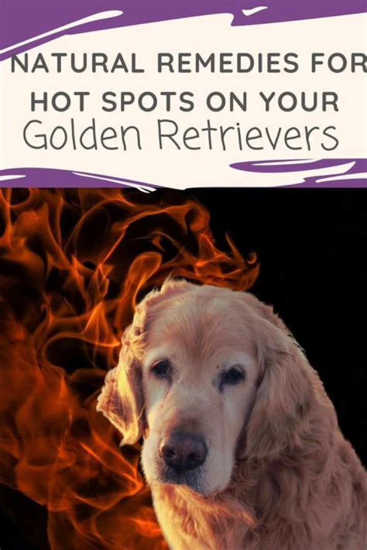 What is a natural remedy for hot spots