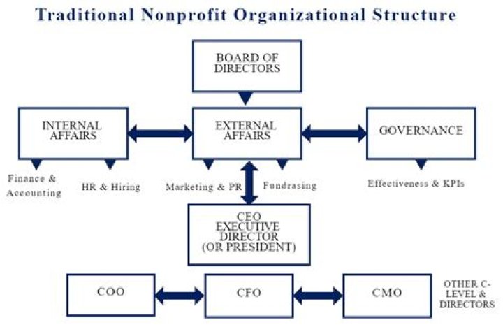 What is a non Organisation