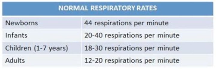 What is a normal respiratory rate for a 1 year old