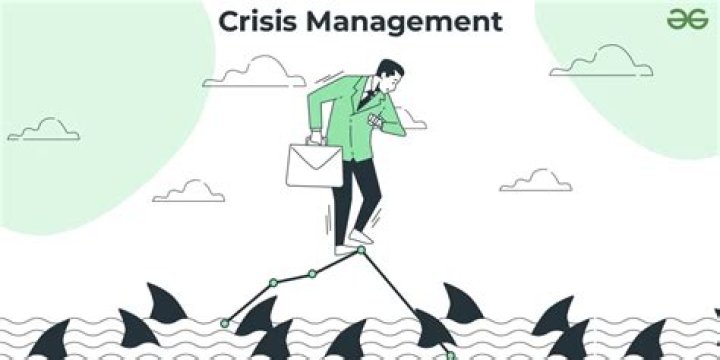 What is a public crisis