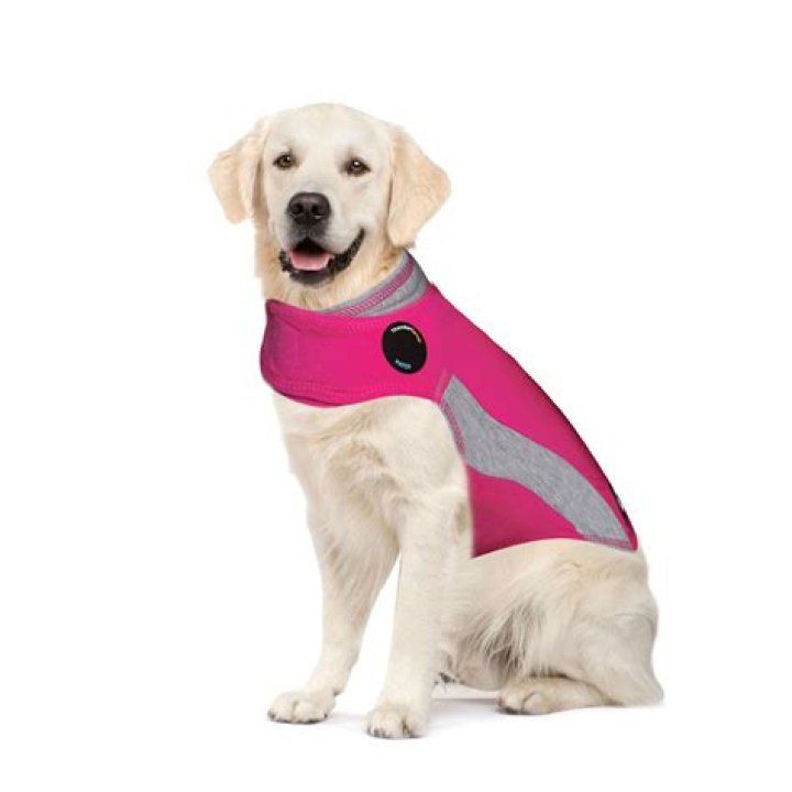 What is a Thunder shirt for dogs