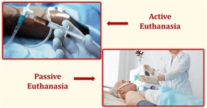 What is active and passive euthanasia